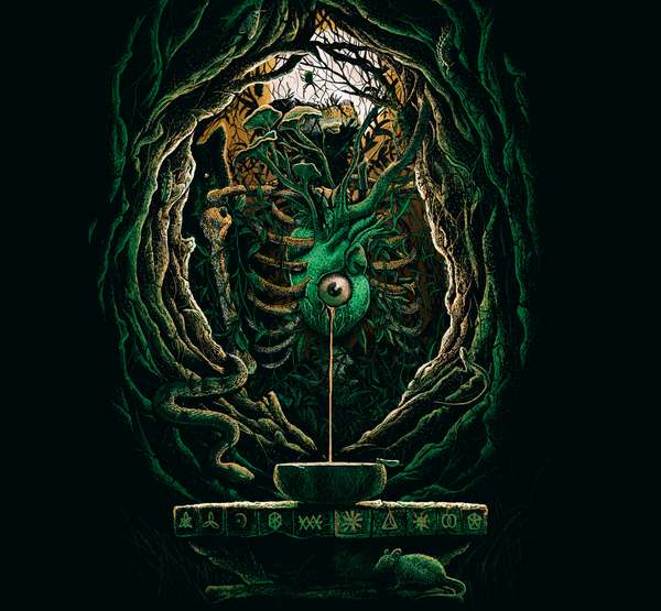 How Austin's Wild Blood is Leading a Coconut Water Revolution